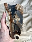 2 Lb Biggs Picture Jasper Lapidary Rough Cut From Biggs  Oregon