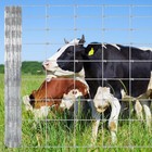 Farm Fence Heavy Duty Galvanized Cattle Wire Fence Animals Protection 6 Size Us