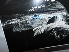 Vintage Opera Singer Photo With Autograph   Unknown  80   100  Original 