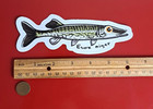 Epf Chain Pickerel  japanese Cartoon  Die Cut Glossy Sticker 
