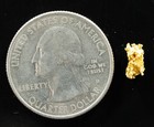  726 Natural Gold Nugget Australian  37 Grams Genuine
