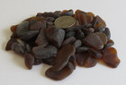California Sea Beach Glass Surf Tumbled Frosted Browns 1 2 Lb Sm Pieces