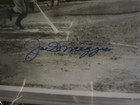Joe Dimaggio Autographed 8x10 B w Photo Baseball Hofers Psa Slabbed