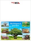 Guinea Bissau 2025 Booklet - Baobab Frog Frogs Mushrooms Turtle Turtles Monkey