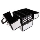 Aluminum Professional Make Up Vanity Train Case Cosmetic Nail Storage Beauty Box
