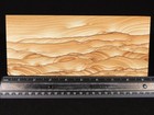 Wow  Long  Picture Stone Or Sandstone Slice And Or Slab From Utah 547gr