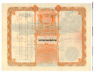 1904 Salt Lake City Elders  Stock Certificate  Pacific National League  Reprint