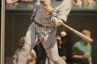 Larry Walker - Signed   Framed Collection Item