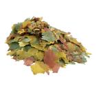 Premium Tropical Fish Flake Food With Free 12-type Pellet Mix   4-type Wafer Afi