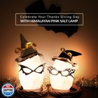 Himalayan Glow White Salt Crystal Lamp  Natural Salt Night Light 