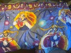 Vintage 1995 Sailor Moon Twin Comforter And Blanket