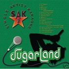 2 Disc Carrie Underwood Sugarland  Country Karaoke Cdg Set  32 Songs Brand New 