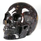 Huge 5 0  Chicken Bloodstone Carved Crystal Skull  Realistic  Crystal Healing