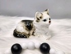 Vintage Long Haired Cat Laying Down Figurine Made In Taiwan Bone China