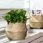 4 Pcs Woven Seagrass Baskets Belly Basket M 18 46  dx8 66  h Folding Boho