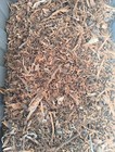 1kg Dried Acacia Acuminata Bark Shredded  Narrow Phyllode Variant