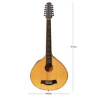 Bouzouki  12 Strings Bouzouki Guitar With Eq  12 Strings 