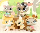 5pcs Pets Shorthair Cat Wolf Cat Baby Cat Collie With Accessories Girl Gift Cute