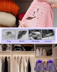 20 Pack Lavender Sachet Bags  100  Natural French Dried Lavender Sachets For    