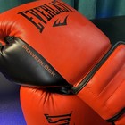 Everlast Powerlock 2 Pro Hook And Loop Training Boxing Gloves 14oz Leather