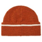 Dickies Chalkville Beanie - Gingerbread  Ginger  One Size Size  Orange