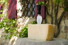 Imported Parmigiano Reggiano- 2 Lb Cut 