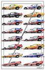 Don Prudhomme  the Snake  Cars Poster  Free Shipping  090 