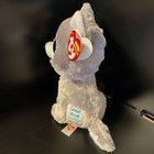 Ty Warrior Grey Wolf Beanie Boo - Great Wolf Lodge Exclusive 6    New
