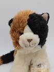 Webkinz Signature Calico Cat Stuffed Plush Ganz Wks1005 Unused Code Like-nwt 