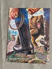 Nocona Boots Grizzly Bear Magazine Advertisement Ad 1981