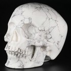 5 0  Howlite Carved Crystal Skull  Realistic  Crystal Healing