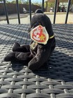 Ty Beanie Baby  the End  Bear With Tag Errors 1999 Retired Errors Vintage Tags