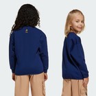 Adidas Kids Adidas Disney Mickey Mouse Sweatshirt