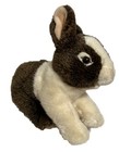 Webkinz Signature Dutch Bunny  no Code 
