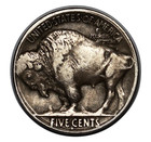 1913-s Buffalo Nickel  Type 2 Choice Xf Better Date Buffalo 