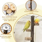 Natural Wood Bird Perch  12 Inch Parrot Perch Stand For Cage  Small Animals