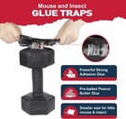 Mouse   Insect Traps 12 Pack  Heavier Sticky Traps With Non-toxic Glue For Mice