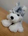 Ganz Webkinz Plush Wolf Gray   White Husky 10 Inches Stuffed Animal Toy No Code