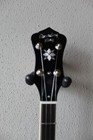 Brand New Recording King Rk-r20 Songster Resonator 5 String Banjo With Gig Bag