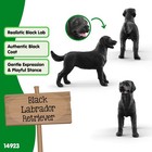 Schleich Farm World - Black Lab Dog Toy 2 52 X 3 11 X 0 98 Inches  Multicolor