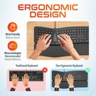 Delton Kb250 Ergonomic Wired Keyboard - Black