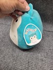 Squishmallow 8  Winston Owl Soft Sensory Teal Plush New With Tags Kellytoy Blue