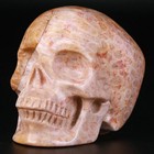 3 0  Coral Fossil Jasper Carved Crystal Skull  Realistic  Crystal Healing
