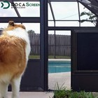 Doca 60x96 Pet Screen Mesh Window Replacement Fiberglass Heavy-duty For Dogs Cat