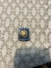 National Extension Homemakers Council Pin Home Family Community Past President