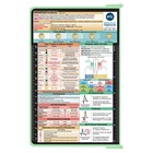 Whitecoat Clipboard   - Mint Nursing Edition  Folding Nursing Clipboard Bi-f