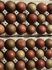 12 Hollow Brick Red And Dark Olive Chicken Eggs - Hand Blown Eggshells
