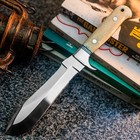 10 5  Wild Blades Custom Handmade Hunting Knife Combat Fixed Blade Military