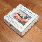 Needle Felting Kit  Succulents Sculpting  felted Sky 