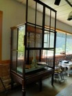 Antique Balance Gold Apothecary Scale Glass Wooden Case Large